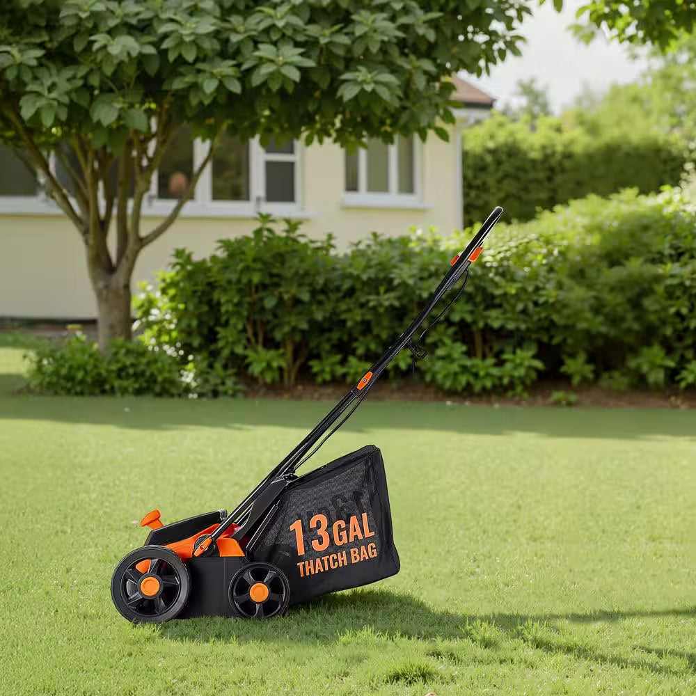 2-In-1 Electric Dethatcher and Scarifier, 13-In. 13 Amp, Corded, 13-Gal. Bag, 5-Position Depth Walk-Behind for Lawn Care